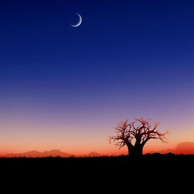 金年会APP下载截图